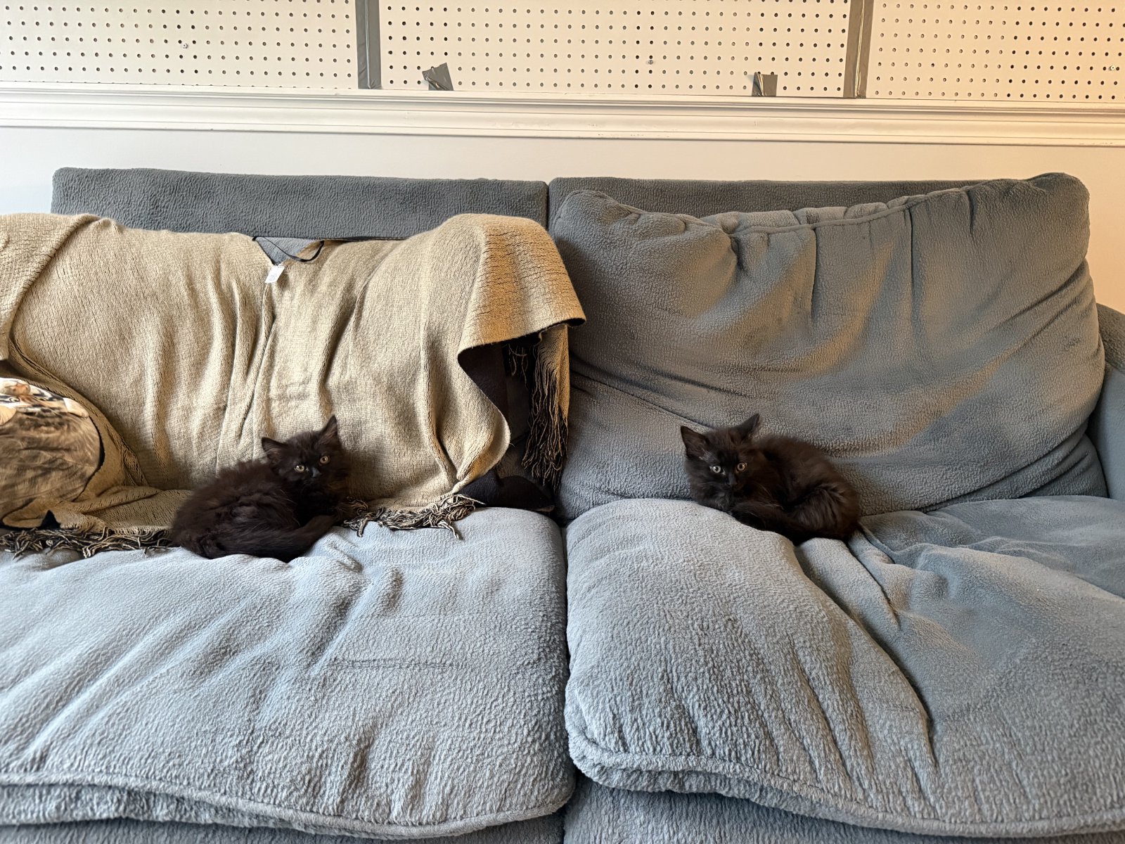 Simon and Lily