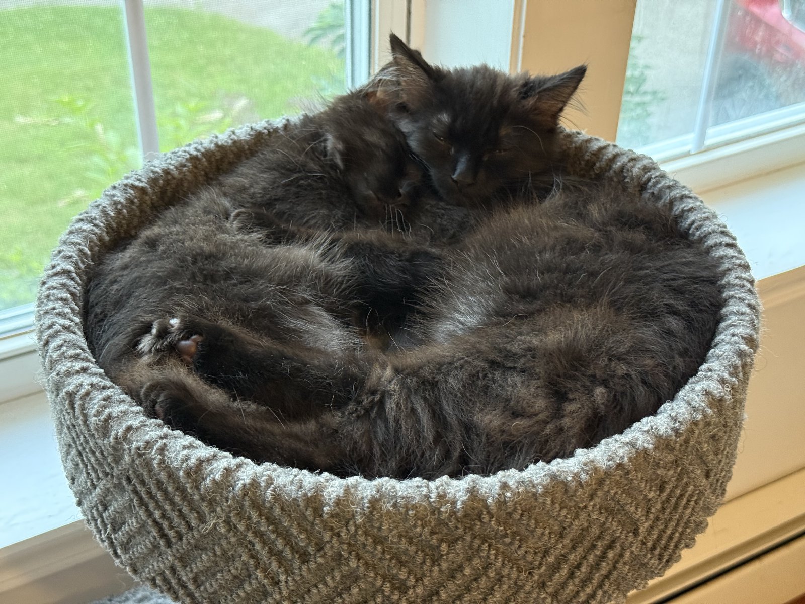 Naptime